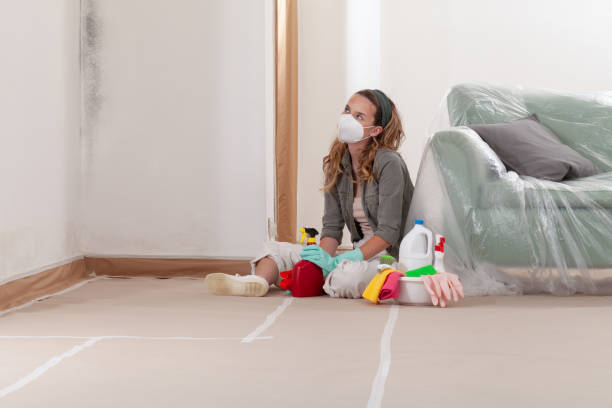 Reliable Mold Testing contractor in Hawthorne, FL by WQB Mold Removal